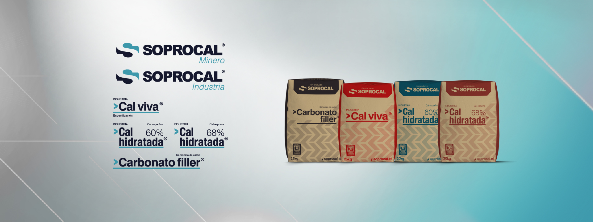 Soprocal banner 2Recurso 12-100