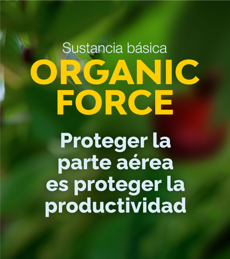 Organic-Force-soprocal-2-mobile
