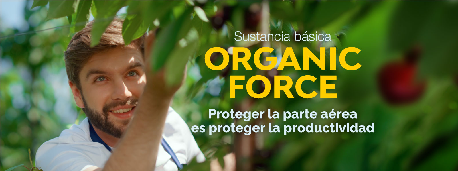 Organic-Force-soprocal-2
