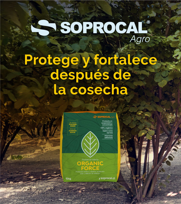 protege-soprocal-mobile