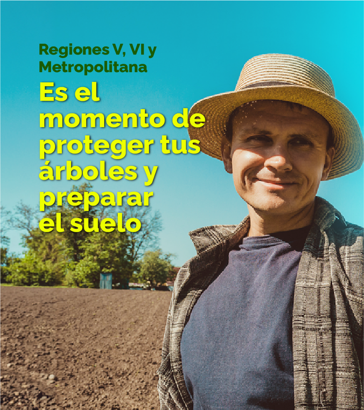 Recurso 2