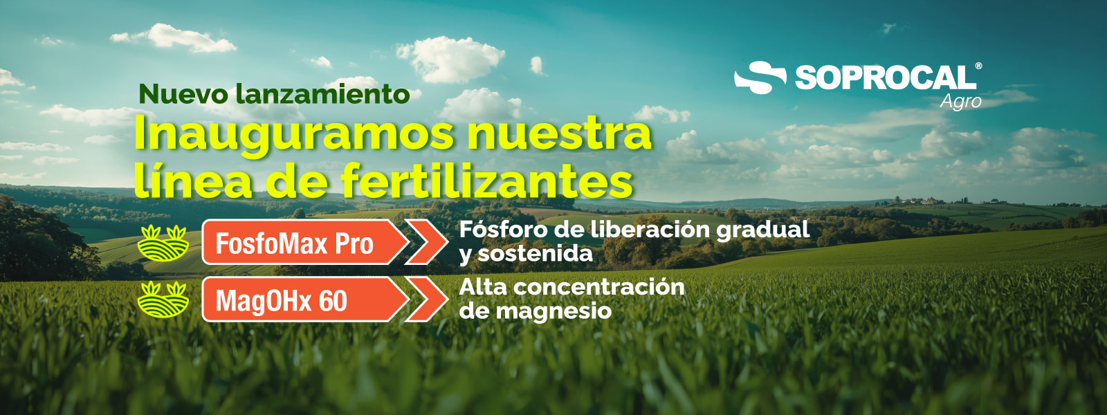 Nuevo-lanzamiento-desktop
