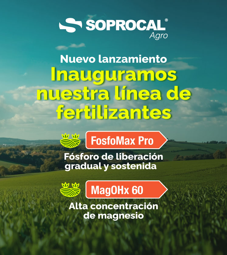 Nuevo-lanzamiento-mobile