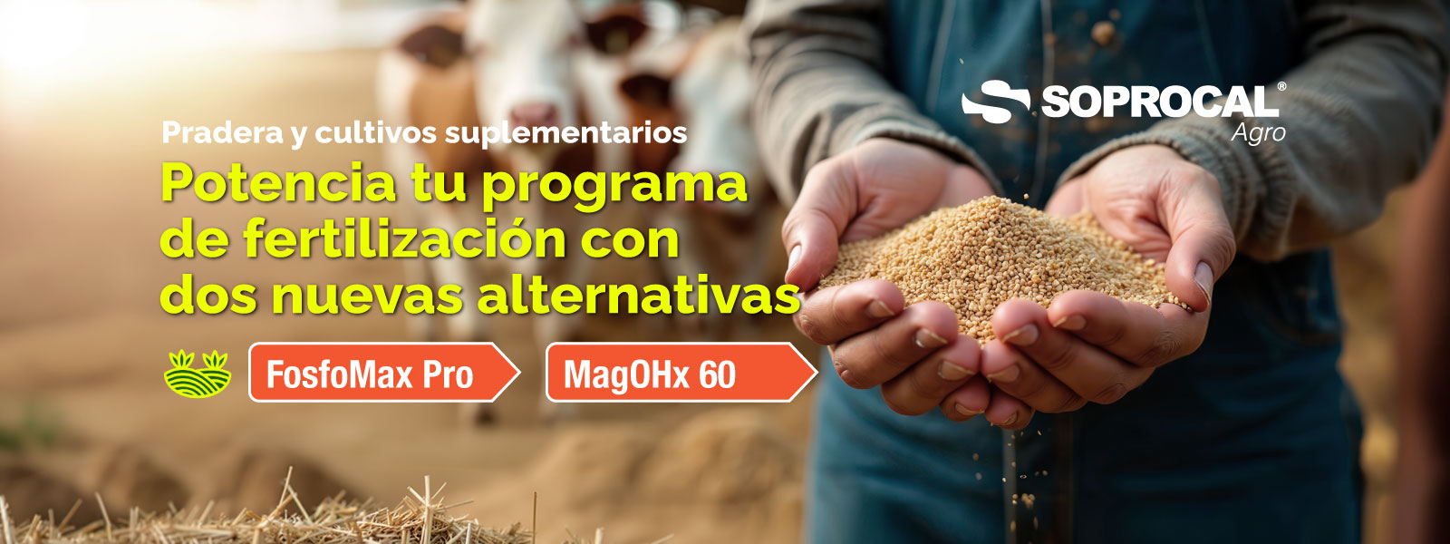 potencia-programa-fertilizantes-soprocal-desktop
