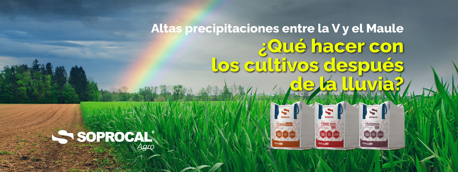 cultivos-lluvia-soprocal-desktop