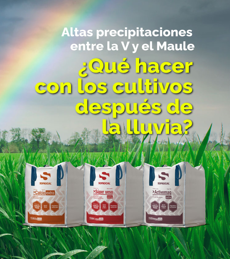 cultivos-lluvia-soprocal-mobile